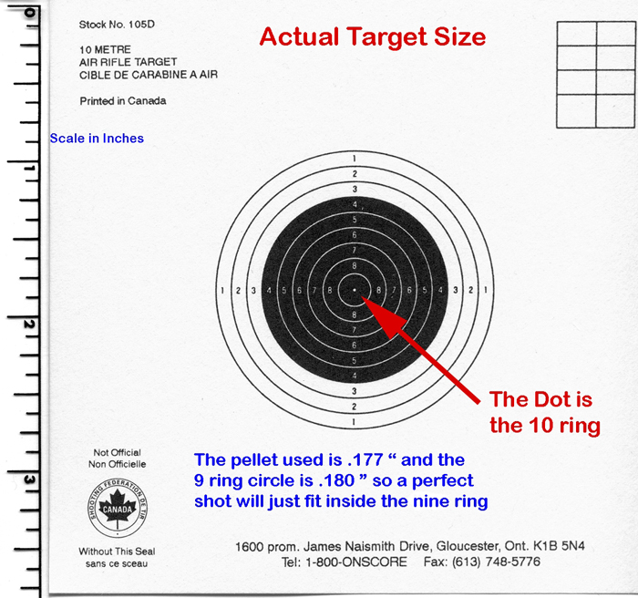 10m Air Rifle Target